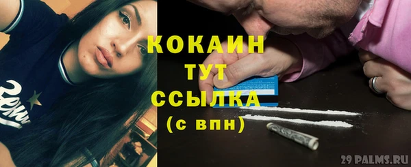 шишки Богородск