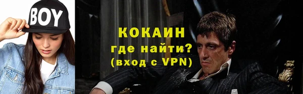 шишки Богородск