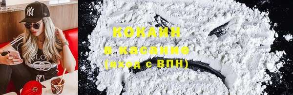шишки Богородск
