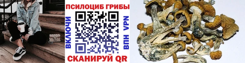Галлюциногенные грибы Psilocybe MEGA как войти Верхняя Пышма