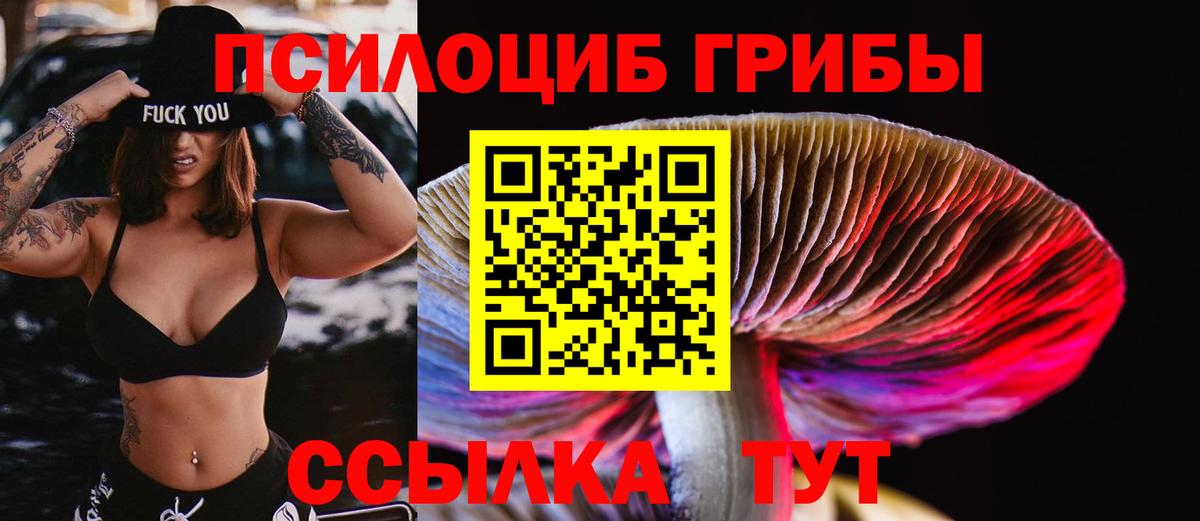 Верхняя Пышма  Вход с VPN  Каннабис  Метадон  Мяу-Мяу  Лсд 25  Ляпка  Мяу-Мяу  КОКАИН  Гарик 